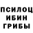 Галлюциногенные грибы Psilocybine cubensis Zhanna Boitcova