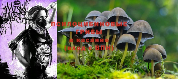 jwh Алзамай