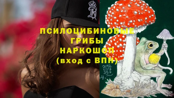 jwh Алзамай