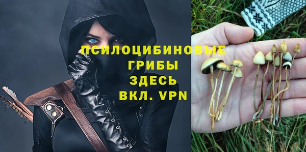 меф Пестово