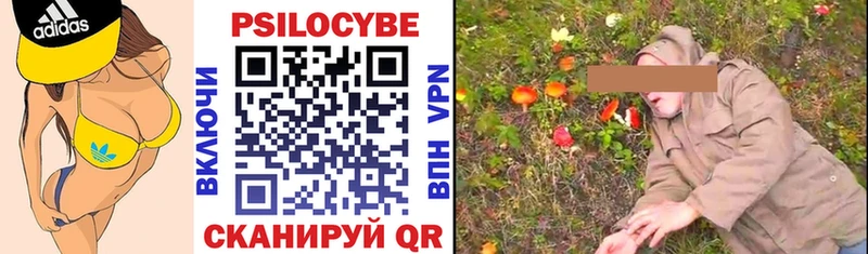Псилоцибиновые грибы Psilocybine cubensis  Омутнинск 